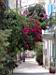 DSC00022.JPG
