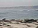 122_2225.JPG