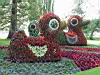 DSC00015.JPG