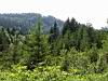DSC00028.JPG